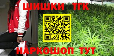 тгк Можга