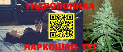 тгк Можга