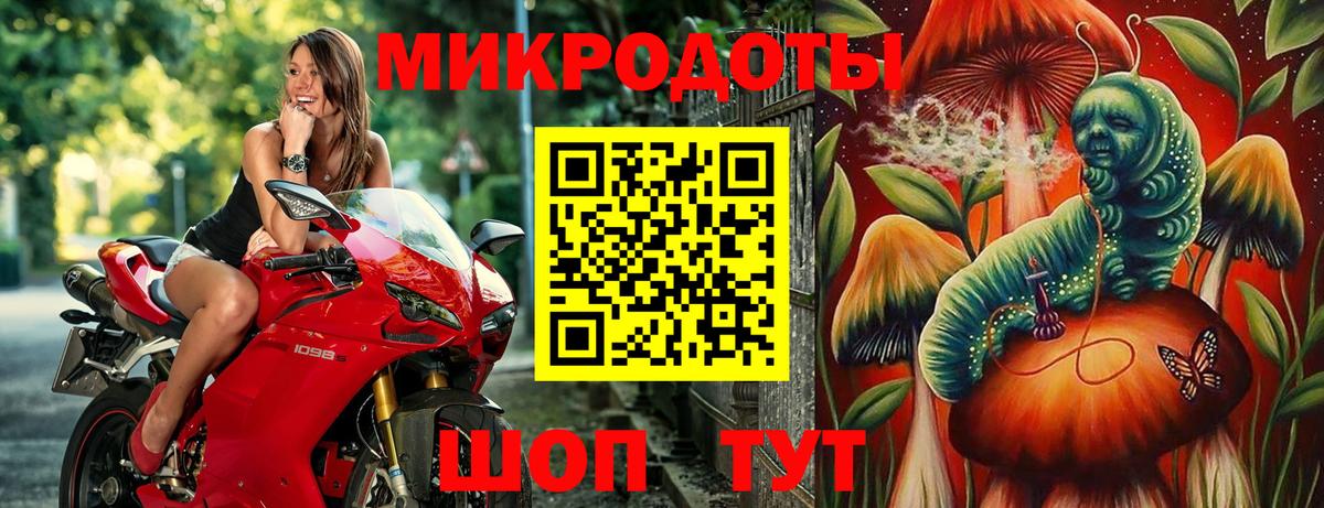 купить наркотики сайты  Галлюциногенные грибы Psilocybine cubensis  Вход с VPN  Ейск  Галлюциногенные грибы мицелий 